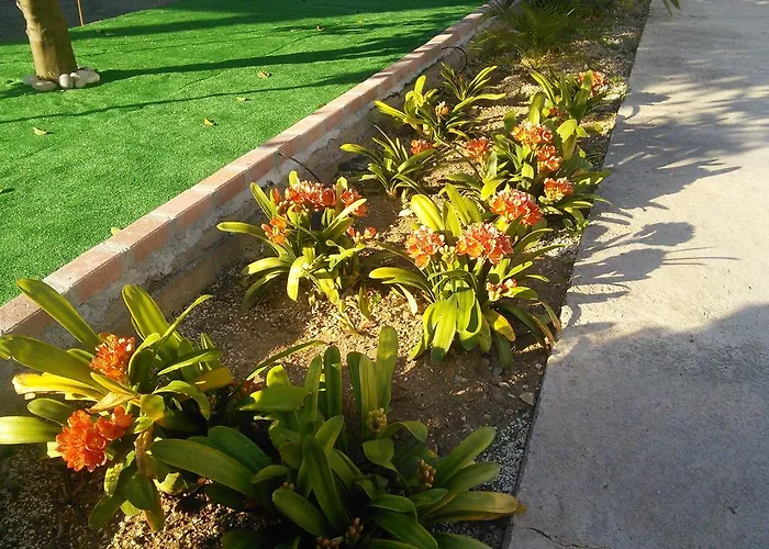 Lejlighedshotel Zoe's Court 3*