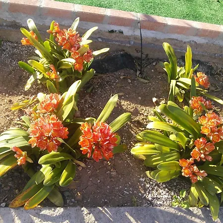 Zoe's Court Apartmanhotel