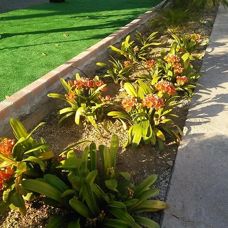 Apartmanhotel Zoe's Court 3*