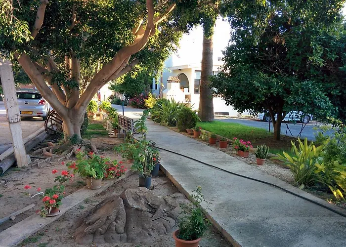 Zoe's Court Klorakas