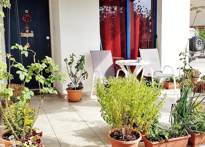 Zoe's Court 3* Klorakas